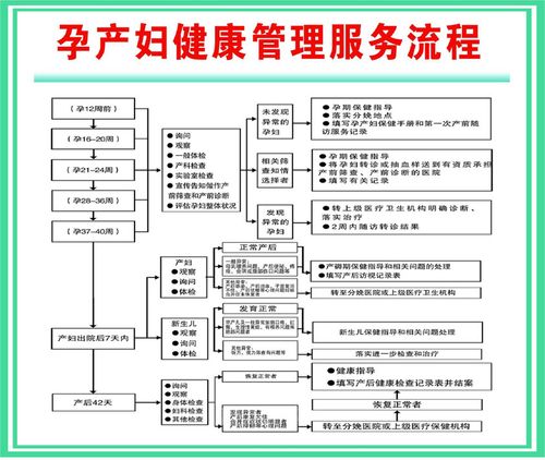 636海報(bào)印制展板366基本公共衛(wèi)生服務(wù)孕產(chǎn)婦健康管理服務(wù)流程